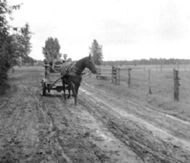 003 0011 Eine kleine Sapzierfahrt mit dem Einspaenner von Bauer Max Ellwanger