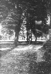 004 0012 Bartenhof