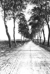004 0013 Ortsteil Fichtehof Vorwerk der Weg zum Vorwerk Fichtenhof
