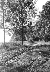 004 0015 Feldweg am Waldrand bei Bartenhof bearbeitet 1