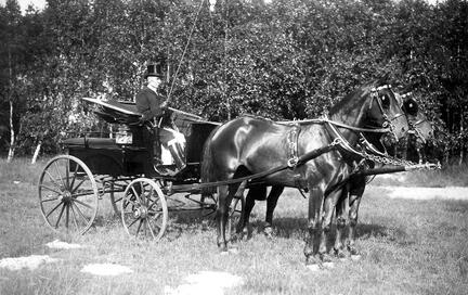 004 0027 Kutscher Treppner mit dem Turnierwagen und den Fuechsen aus eigener Zucht