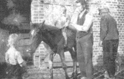 005 0021 Franz Ungermann mit seinen Soehnen Fritz auf dem Fohlen und Kurt vor dem Fohlen im Hof Rechts im Bild Herr Neufeld