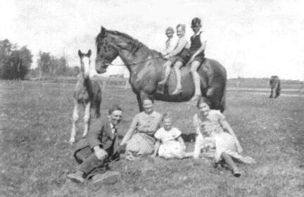 005 0023 Die Familie Ungerman mit Besuch auf der Pferdekoppel
