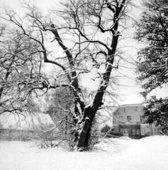 006 0002 Gutshaus Popelken im Winter