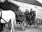 Biothen bis 1945