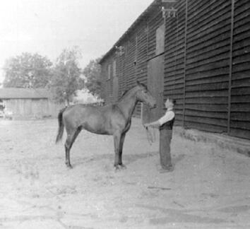 006 0044 Biothen 1939 Auf dem Hof Otto Komm
