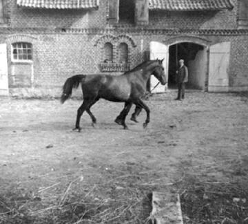 006 0045 Biothen 1939 Auf dem Hof Otto Komm