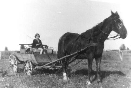 006 0055 Der grosse Fuchs von Bauer Hennig vor dem Milchwagen