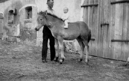 009 0004 Onkel Kurt Siebert lernt dem Sohn seines Bruders Ewald das Reiten Auf dem Pferd Helmut Siebert am 16 07 1940