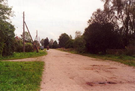 010 1001 Damerau im Sommer 2001