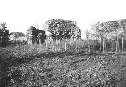 011 0041 Die Ruine der Ordensburg 1935