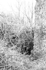 011 0042 Der Eingang zum unterirdischen Gang in der Ruine der Ordensburg 1935