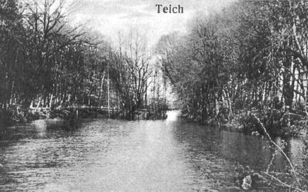 012 0002 Der Dorfteich in Eiserwagen