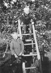 012 0014 Friederikenruh Kurt und Rudi Schoen auf der Leiter am Apfelbaum im Jahre 1941