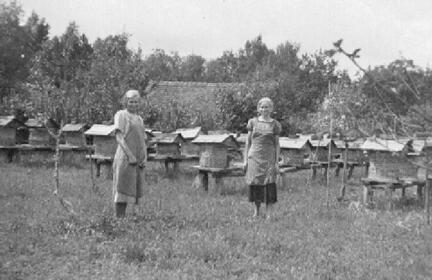 012 0018 Friederikenruh am 29 Juli 1937 Die Schwestern Hilda und Elfriede Schoen bei den Bienen vom Grossvater Ferdinand Ziegann