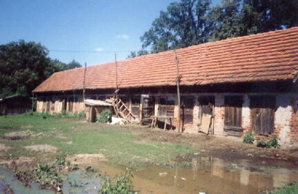 012 1016 Diese Stallungen gehuerten zum Insthaus der Familie Metzger 1996