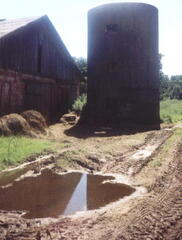 012 1025 Stallgebaeude mit Silo 1996