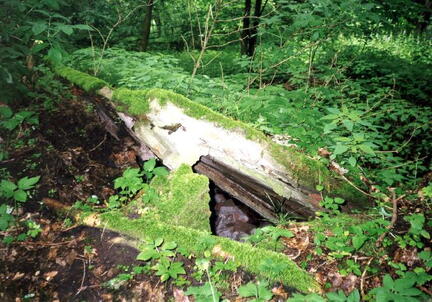 014 1006 Im Jahre 1998 Der Eiskeller der zum Gutshof gehoerte
