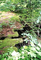 014 1007 Im Jahre 1998 Diese Bruecke fuehrte vom Gutshof zum Dorf