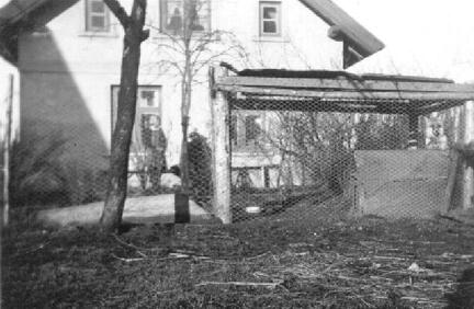 015 0016 Der Fuchsbau im Garten von Hermann Mattern im Jahre 1937