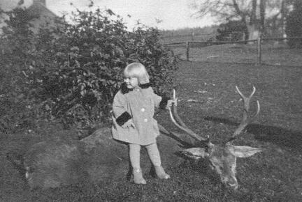 015 0030 Steinwalde Gut Ruth Kamradt bewundert einen Hirsch den ihr Vater Ernst Kamradt erlegt hat