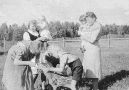 015 0053 Ein Rotwildkalb wird bei der Familie von Koss gross gezogen