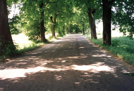 016 1029 Ortseingang nach Friedrichsthal am 10 06 1992