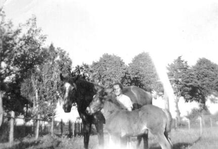 017 0013 Ida Gruber bei der Stute und dem Fohlen in Frischenau