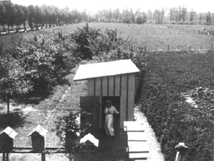 017 0037 Der Imkerlehrling bei den Bienenstoecken in Daniels Garten