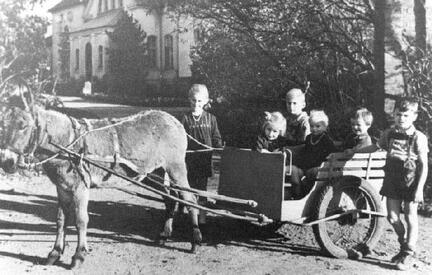 017 0049 Tiefenthamm im Kreis Wehlau 1943 Hofesel Arie