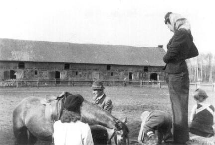 017 0051 Tiefenthamm im Kreis Wehlau 1943 Viehstall Storchennest Ausritt