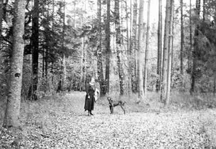 017 0060 Im Park des Gutes Stanillien im Herbst 1922
