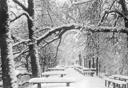 020 0003 Ausflugsort Kellermuehle im Winter