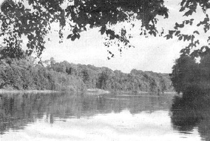 020 0012 Ein Blick ueber den stillen Muehlenteich