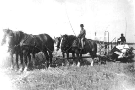 020 0059 Albert Albien mit Sohn Guenter im Jahre 1940