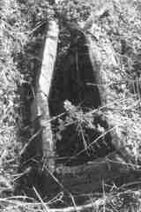 021 1025 Auf dem Friedhof in Genslack 1992