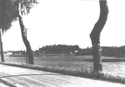 022 0009 Blick von der Strasse nach Roddau auf den Goldbacher Kirchberg