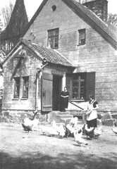 022 0023 Das Gasthaus Peterson auf einer alten Postkarte aus den zwanziger Jahren Es zeigt das Gasthaus vor dem Umbau