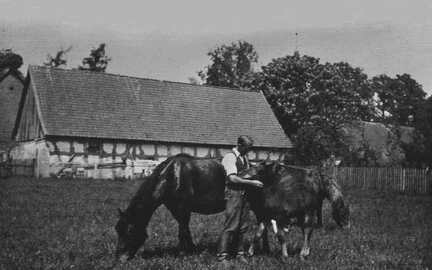 022 0032 Landwirt Hans Schulz auf seiner Pferdekoppel