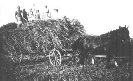 022 0034 Erntewagen vom Hof Ernst Neumann aus Goldbach