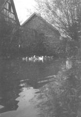 023 0021 Foersterei Rosenberg
