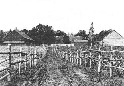 023 0044 Oberfoersterei der Feldweg vom Hof zu den Weiden