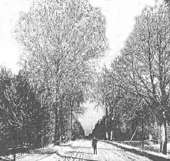 023 0053 Im Bereich der Oberfoersterei im Winter 1941