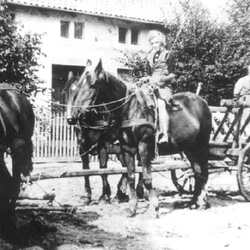 Gundau bis 1945