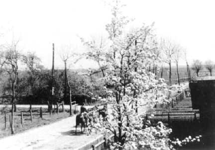 035 0032 Die Strasse von Gundau nach Allenburg