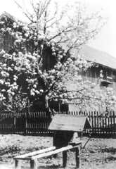 035 0034 Im Schulgarten Gundau Daneben das Stallgebaeude der Schule