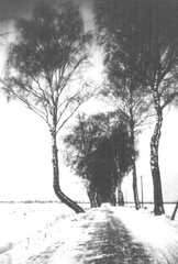 036 0002 Birkenchaussee in Richtung Reinlacken im Winter