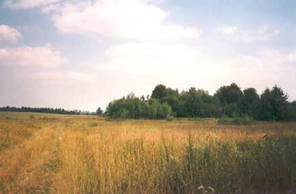 036 1006 Hier stand das Anwesen Emil Potzuweit in Guttschallen Aufnahme Sommer 1998