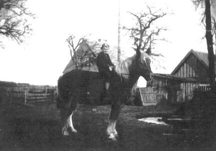 037 0010 Auf dem Pferd der Berliner Walter Sporleder auf dem Hof von Bauer Otto Riemann in Hanswalde