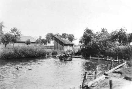 037 0012 Hanswalde Pferde in der Schwemme